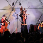 Wild Strings Trio